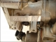 Carburetor Injection unit 77-00-732-234 1825 89-33-001-825 Renault 5 19 Rapid